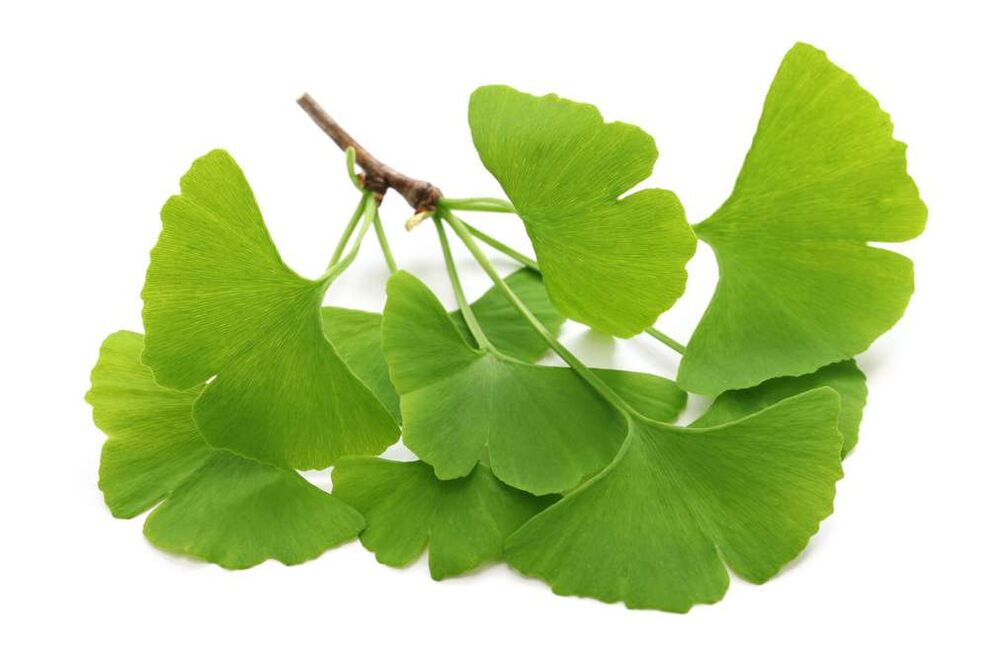 Ginkgo biloba σε κάψουλες Glucoren